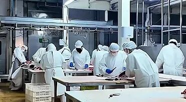 四中全会精神在基层 | 巴彦淖尔：“专精特新”竞速新质生产力