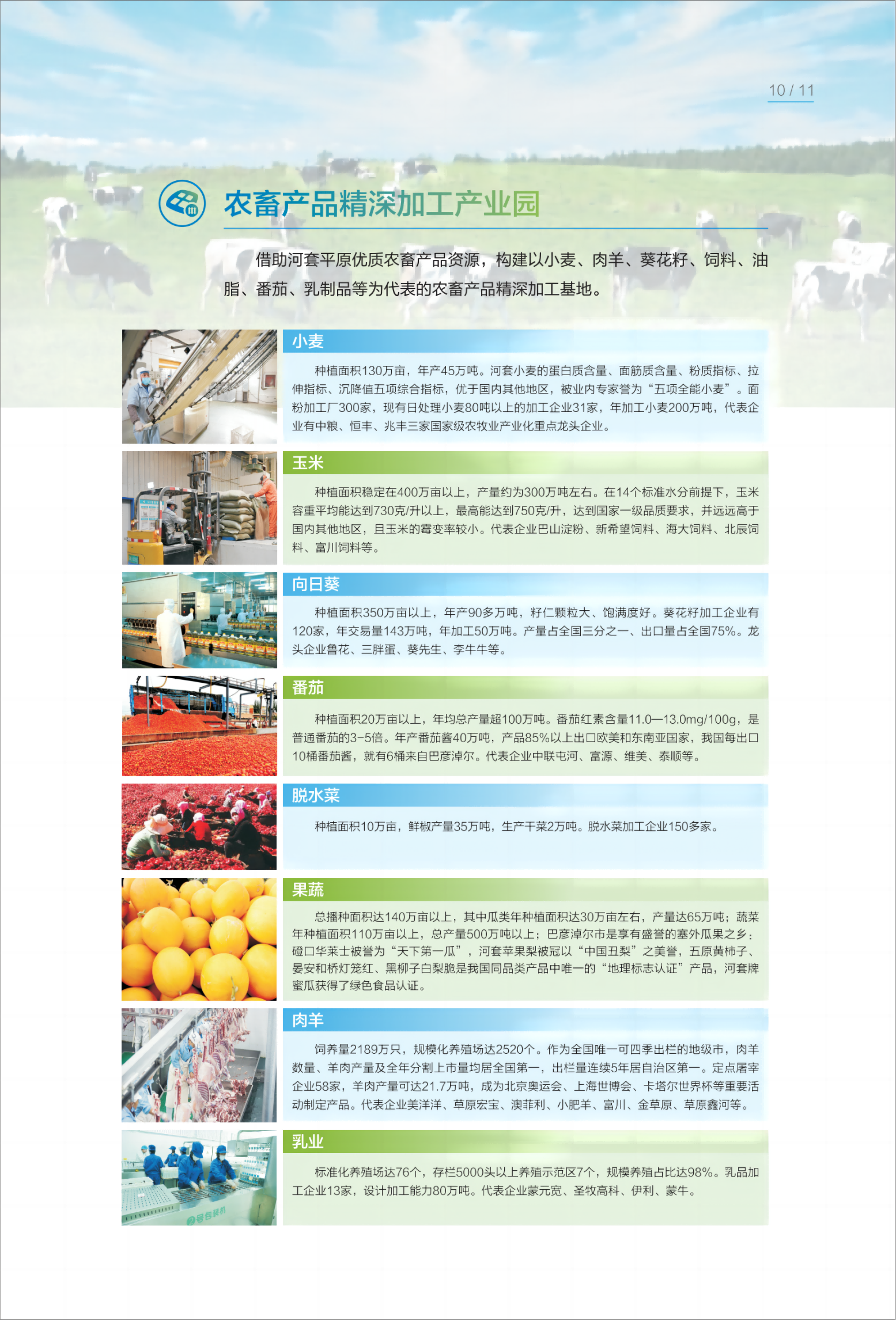 投资指南宣传册11