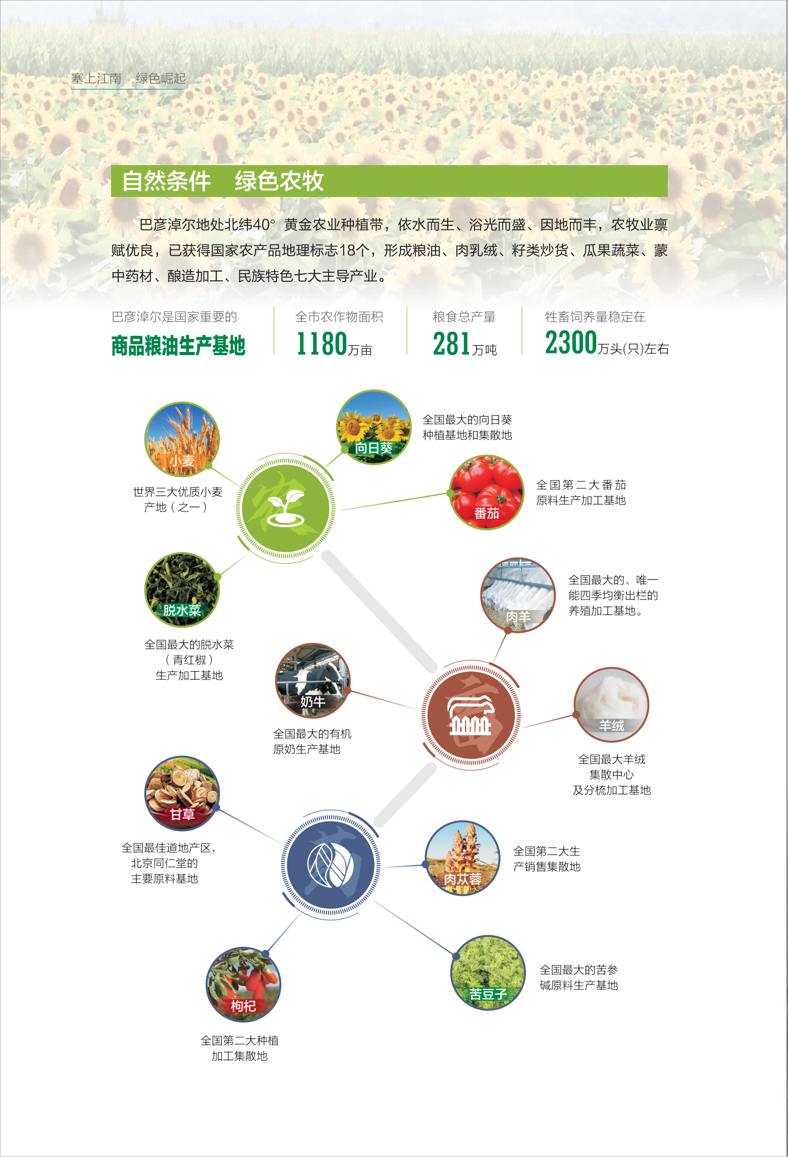 投资指南宣传册6